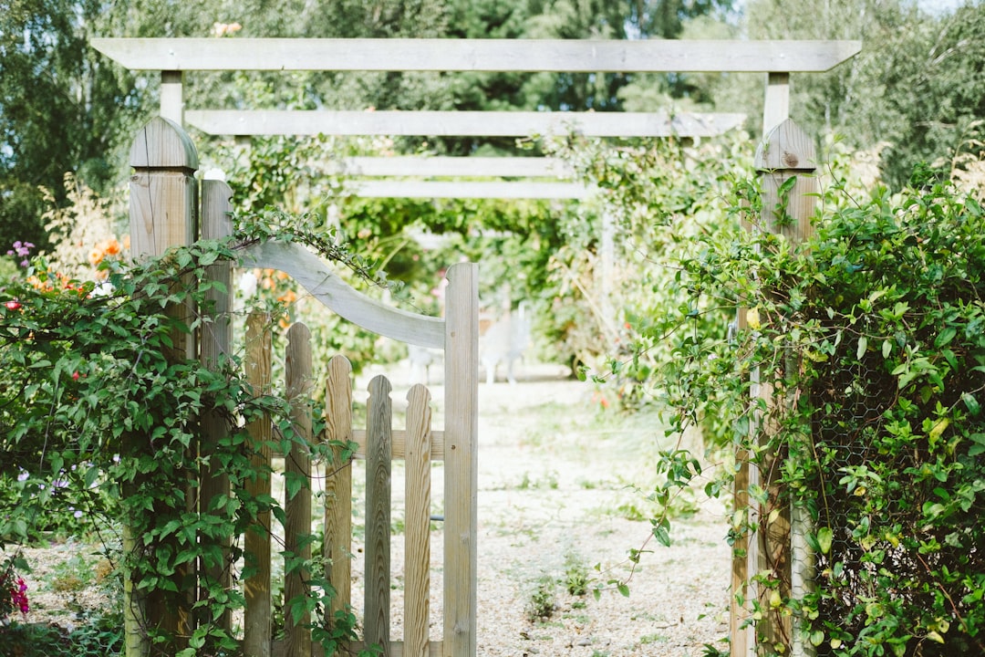 Photo Image: Outdoor lighting Nouns: Garden, Light