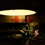 Modern Ceramic Magnolia Petal LED Table Lamp: A Stylish Lighting Solution