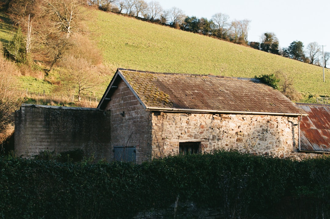 Photo farmhouse lantern pendant light