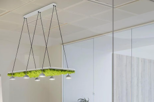 Bringing Nature Indoors: Moss-Integrated LED Pendants